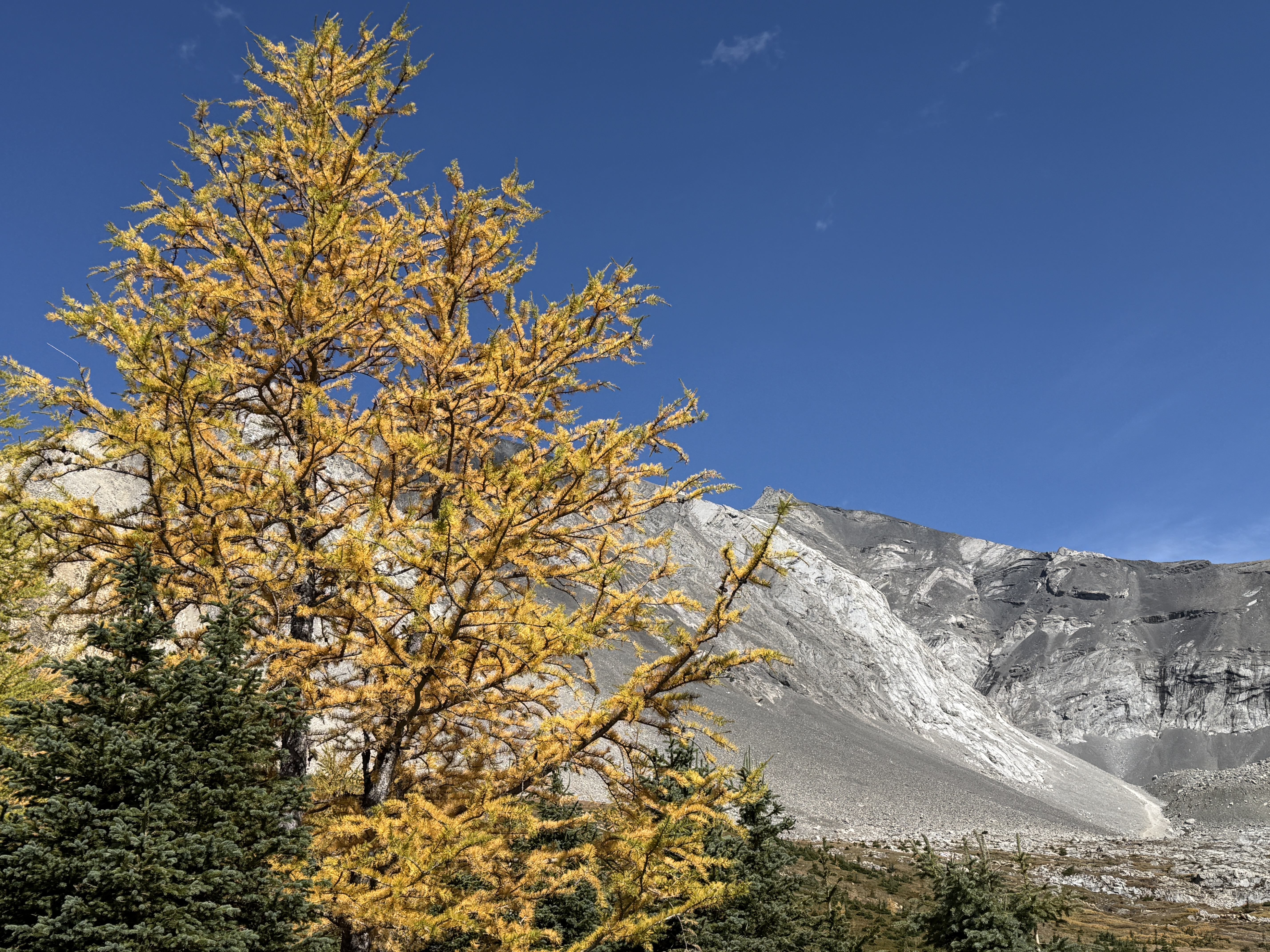 free_20295_4d2b196e8af039b6.jpg